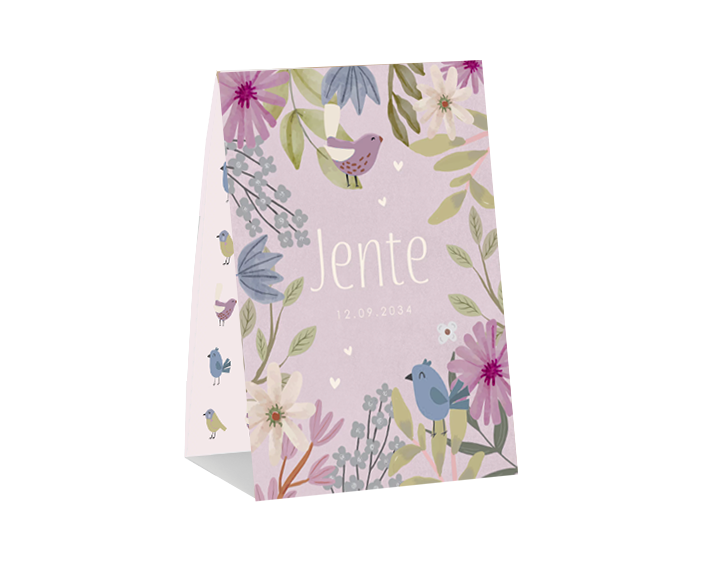 Tentkaart meisje bloemen en vogels