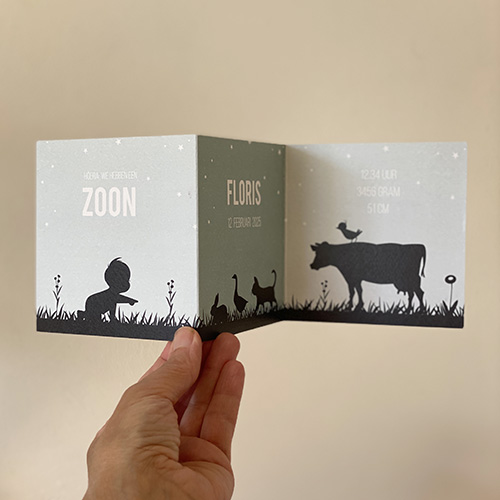 drieluikje jongen dieren boerderij