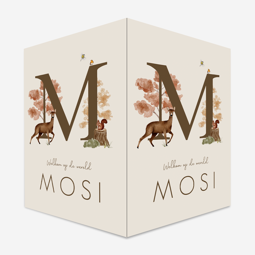 Raambord Geboortebord Bosdieren Herfst Beige