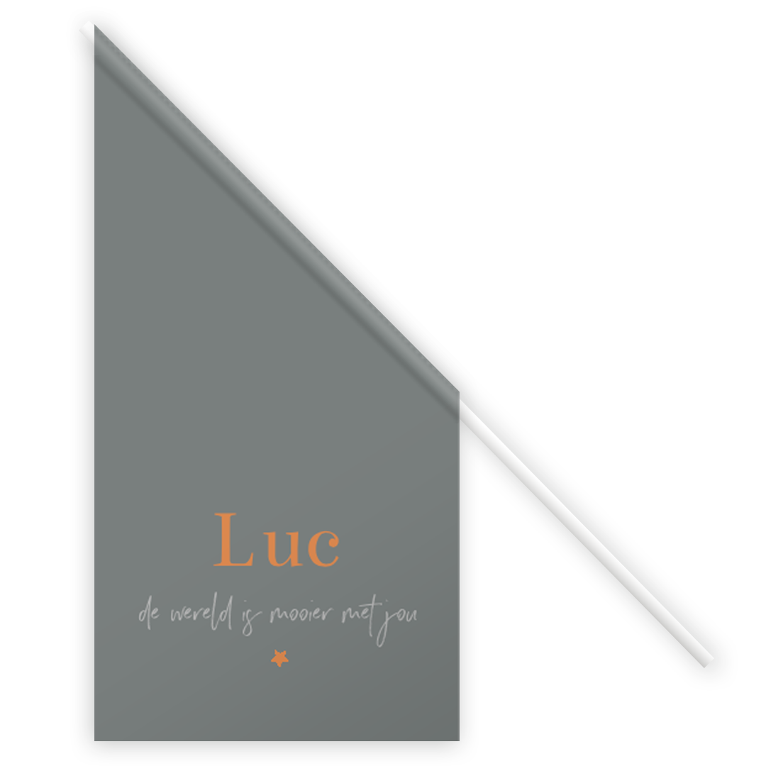 Geboortevlag geboortekaartje jongen typografisch