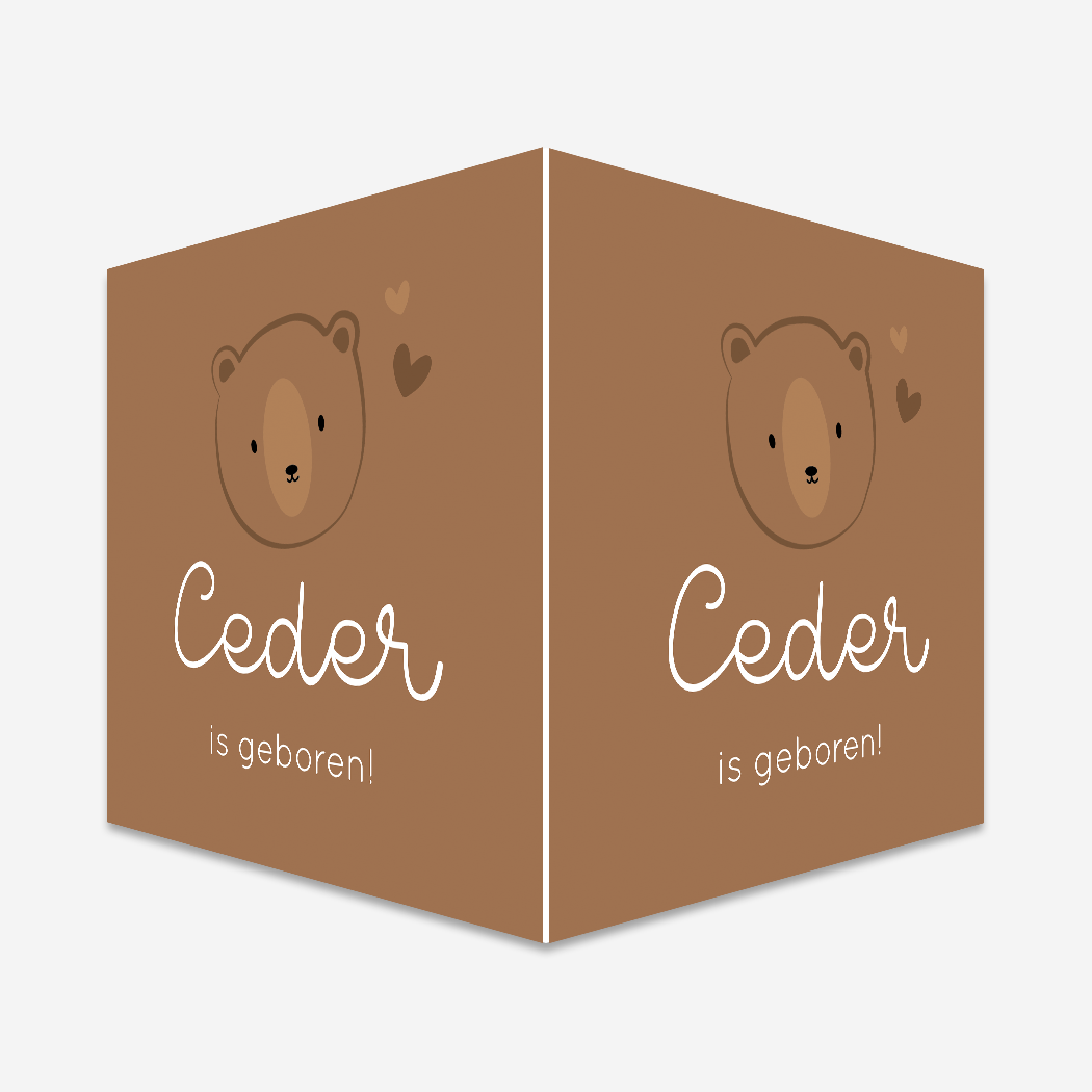 Raambord Vierkant Bruin Beertje Berenkop