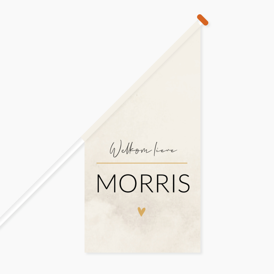 Vlag L Beige Stoer Gewolkt