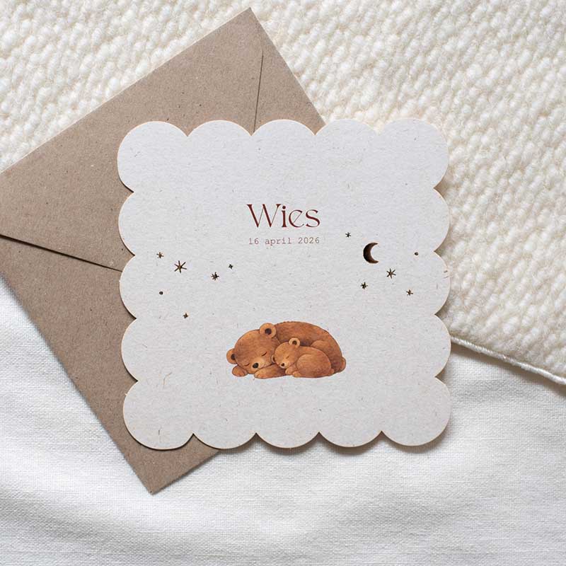 Geboortekaartje neutraal twee beertjes