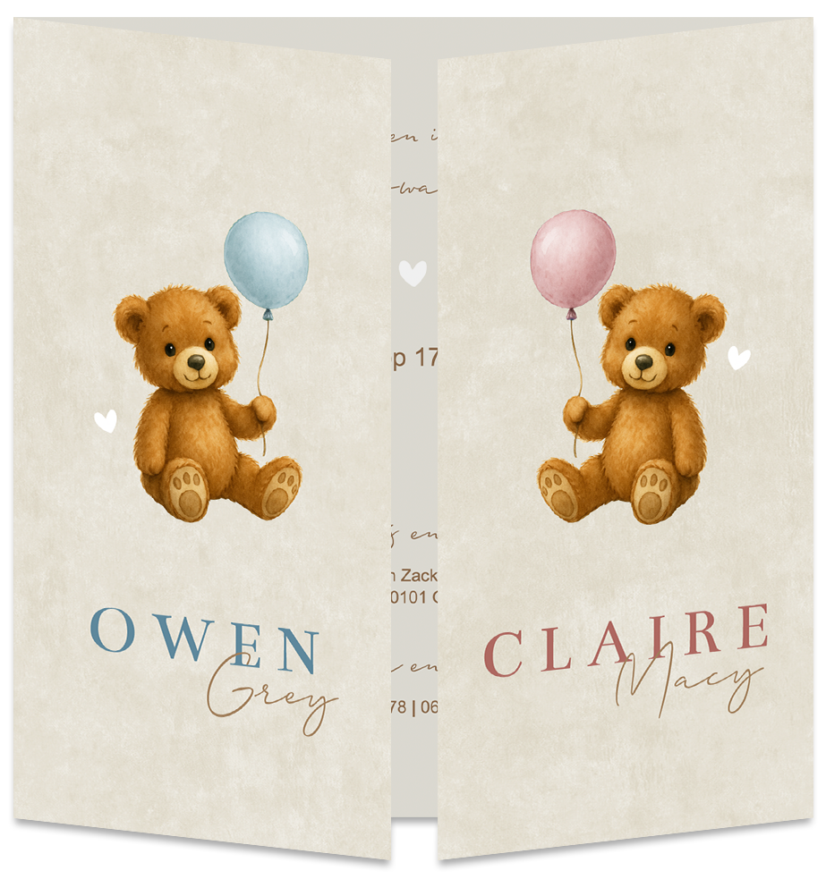 Geboortekaartje Tweeling Ballonnen Teddybeertjes Luikkaartje