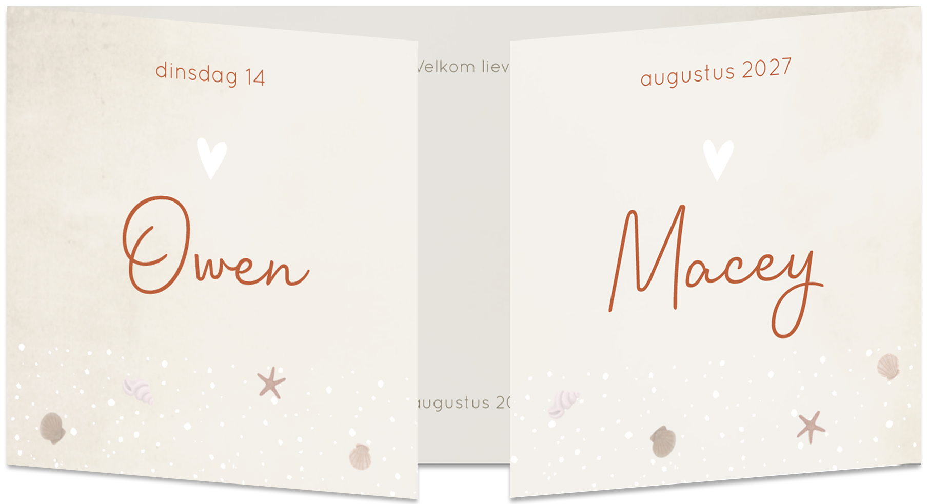 Geboortekaartje Tweeling Luikaartje Panorama Zee