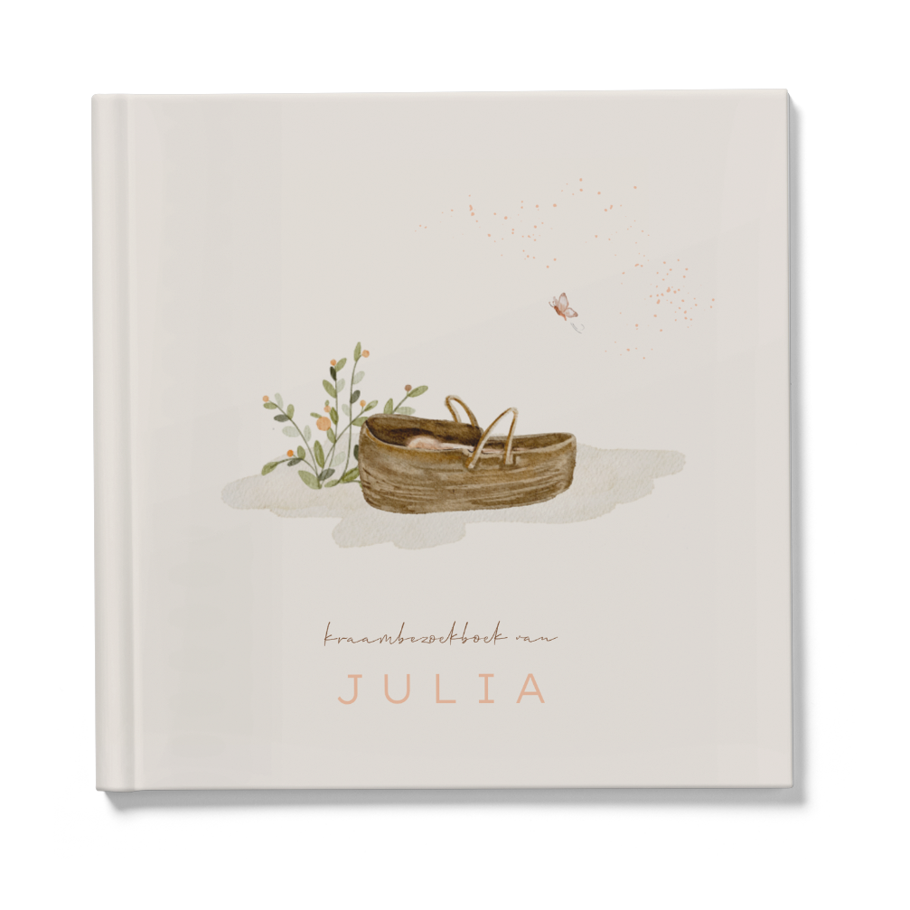 Lief zomer kraambezoekboek meisje met roze vlinder en baby in mandje