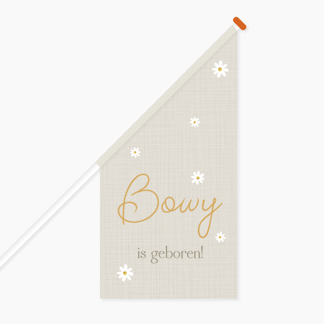 Geboortevlag Meisje Madeliefjes