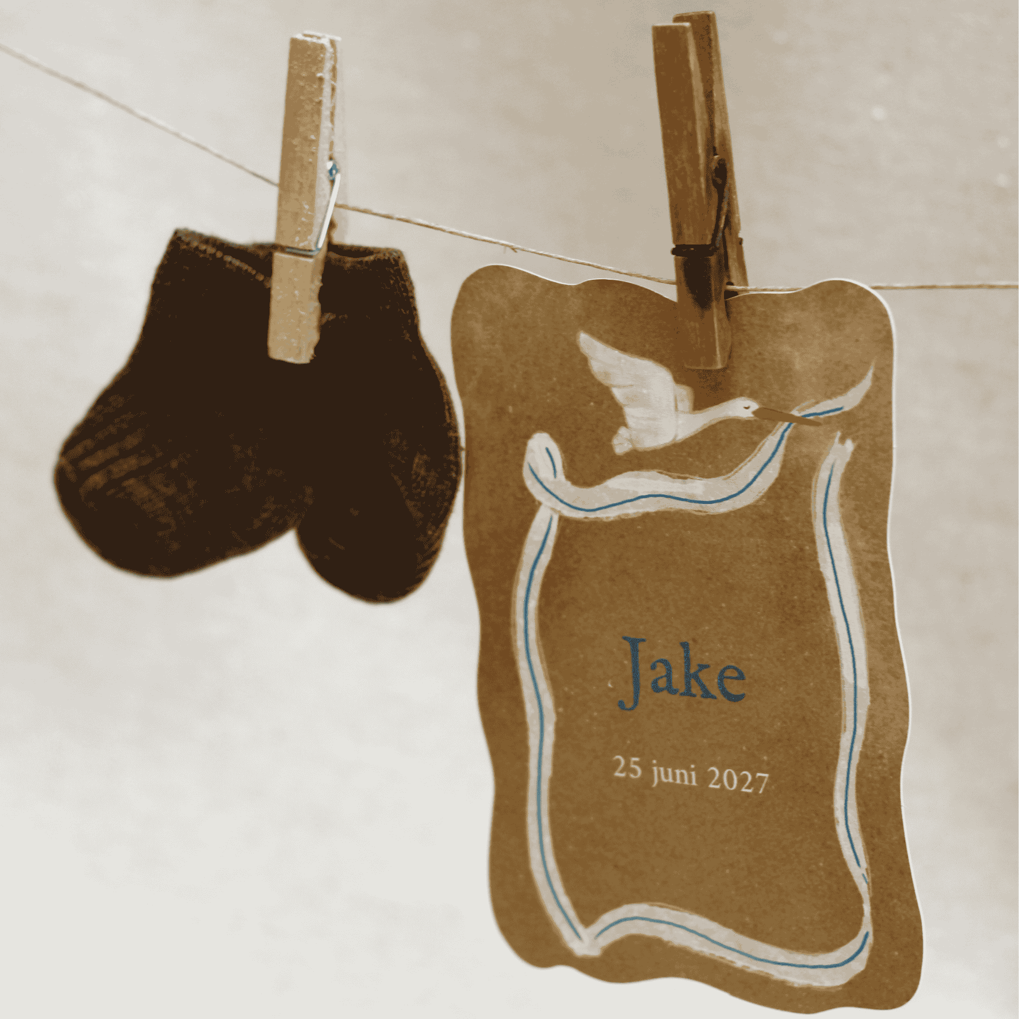 VINTAGE GEBOORTEKAARTJE OOIEVAAR LINT JONGEN