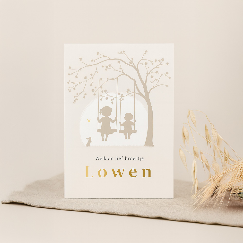Luxe geboortekaartje broertje met grote zus op schommel