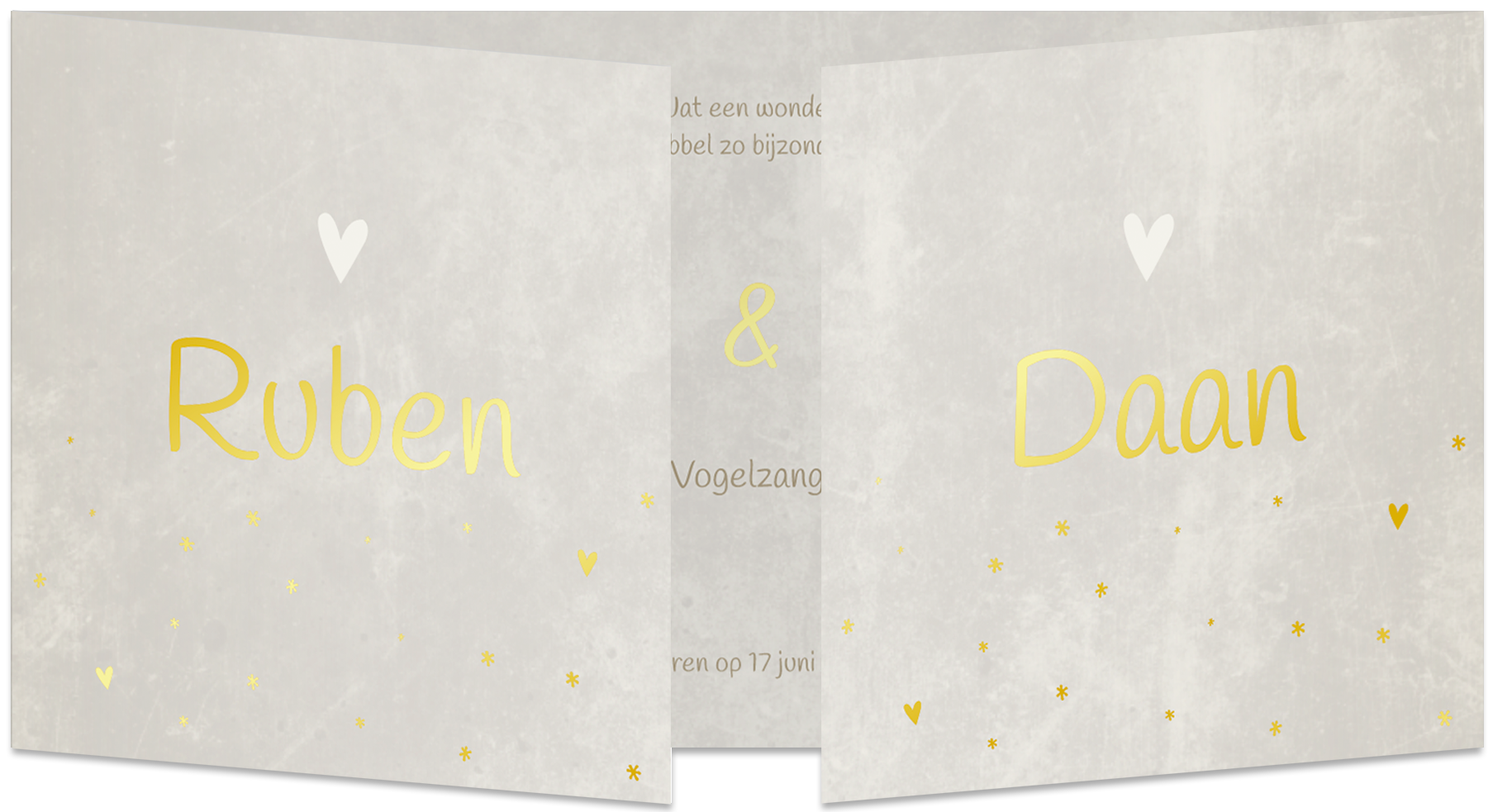 Geboortekaartje Tweeling Luikkaartje Panorama Nautraal