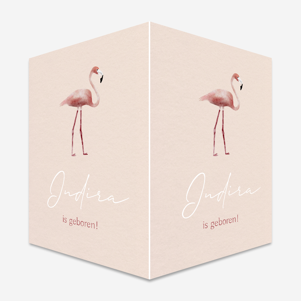 Geboortebord Flamingo Waterverf Roze