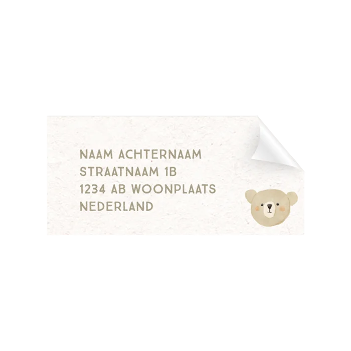 Adresstickers voor je geboortekaartje met vrolijk teddybeertje