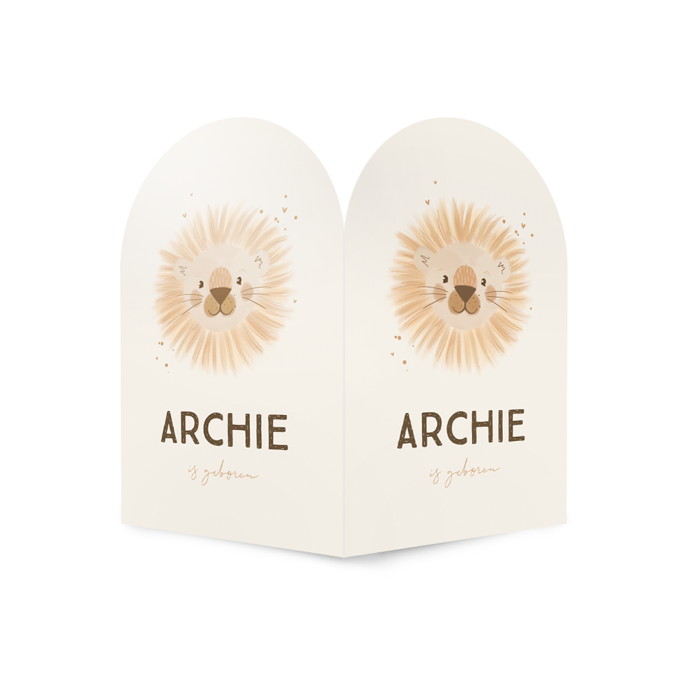 Vrolijk geboortebord met leeuwtje