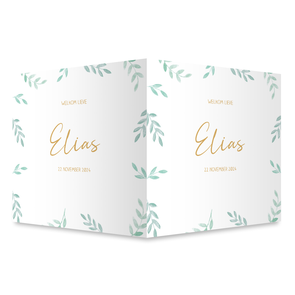 Raambord jongen botanisch takjes