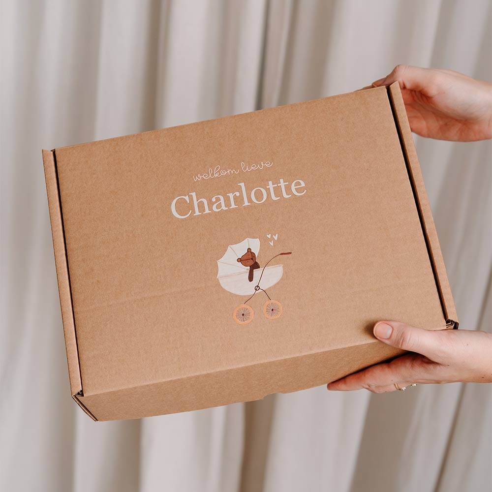 Baby cadeaudoos met kinderwagen en beertje