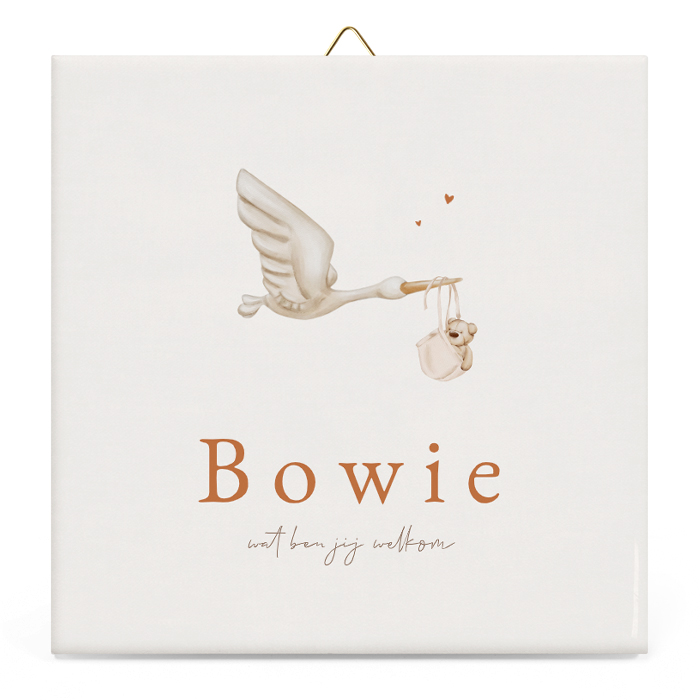 Boho geboortetegeltje unisex met geboortegegevens, giraf en beertje