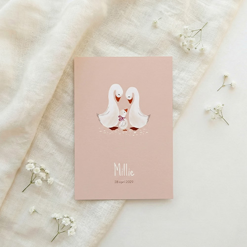 Geboortekaartje meisje familie gans