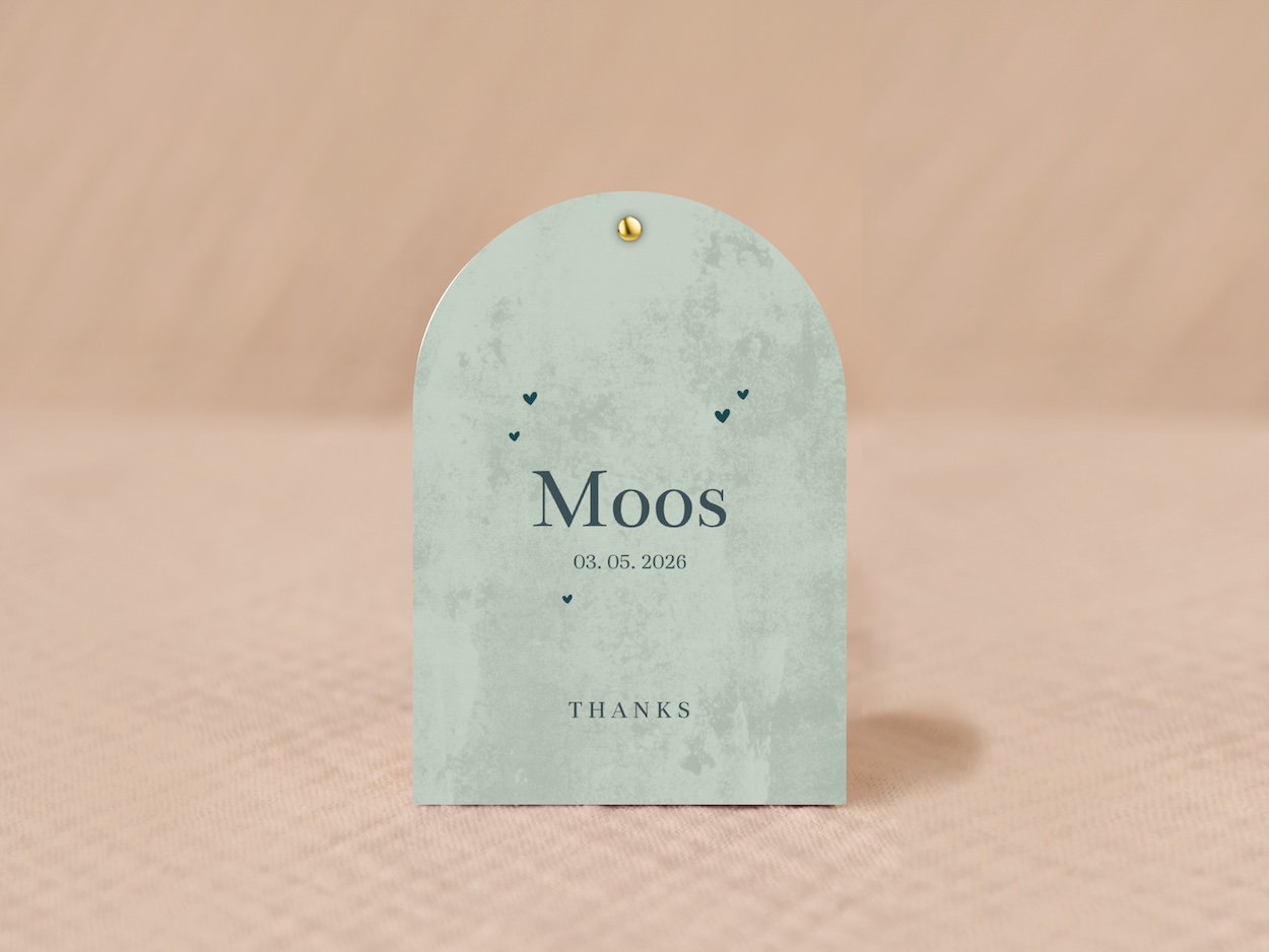 Stoer doopsuiker snoepzakje groene velvet-look met hartjes