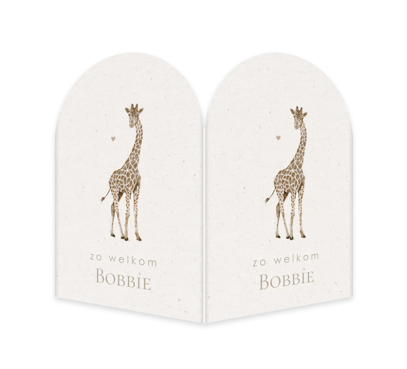 Raambord arch jillejille