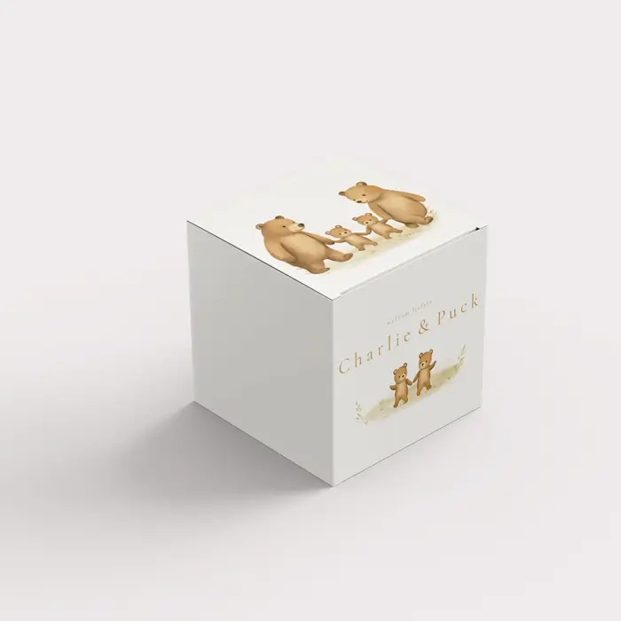 Doopsuikerdoosje tweeling beertjes