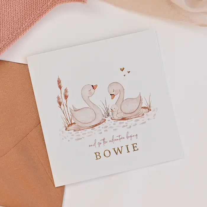 Lief geboortekaartje met twee zwaantjes en hun kindje in vijver