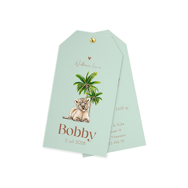 Zomers label geboortekaartje met baby leeuw