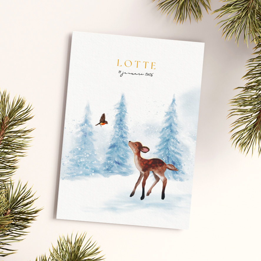 Winters geboortekaartje met hertje en roodborstje