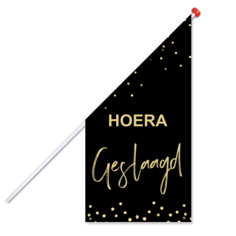Vlag hoera geslaagd goud look confetti modern