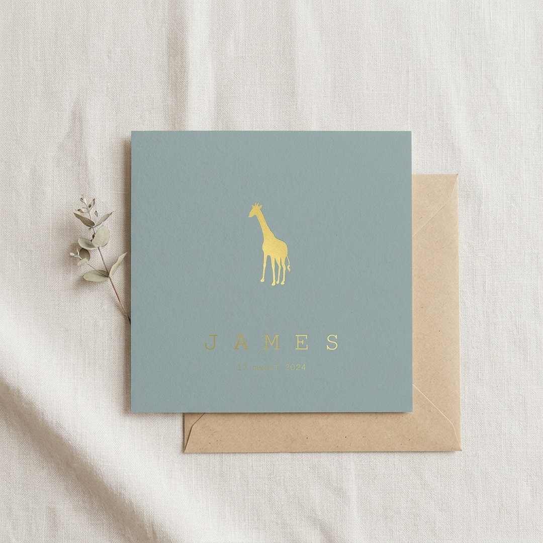 Geboortekaartje grijsblauw met giraffe