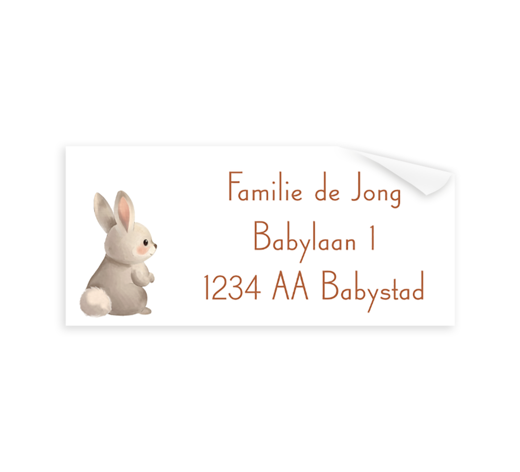 Adresstickers wit met konijn
