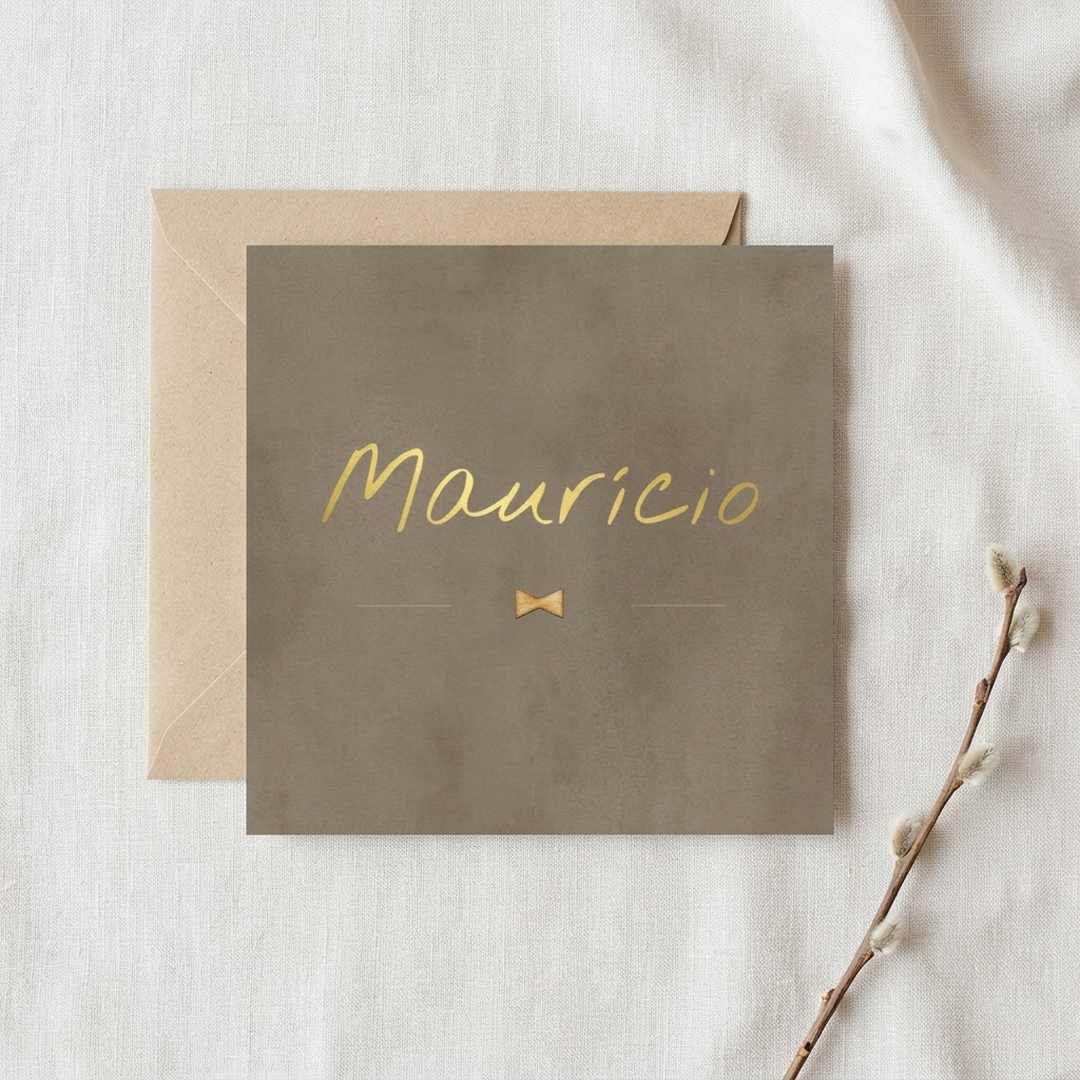 kaartje Mauricio 2
