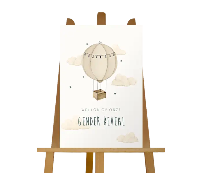 Welkomstbord gender reveal met luchtballon
