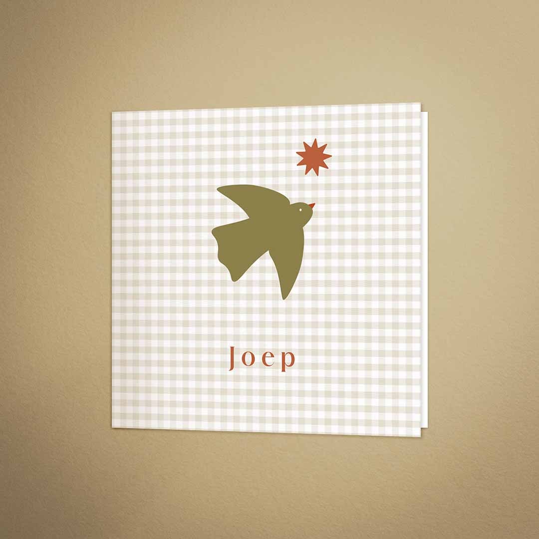 Geboortekaartje ruitjes vogel boho jongen