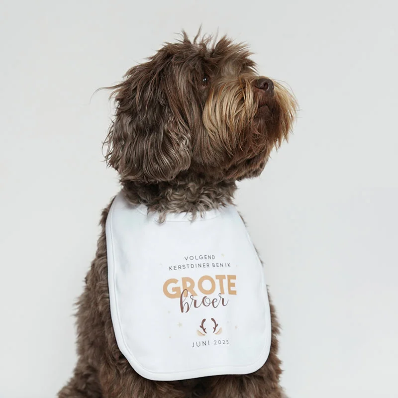 Zwangerschapsaankondiging slabbetje met naam kerst