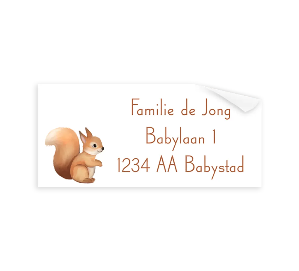Adresstickers wit met eekhoorn