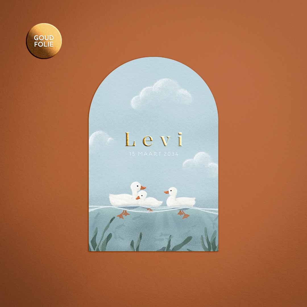 Geboortekaartje voor een jongen met eendjes en vissen in het water