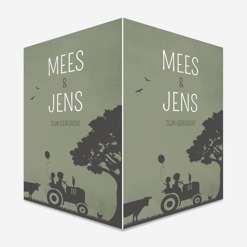 Raambord Tweeling Boerderij Dieren