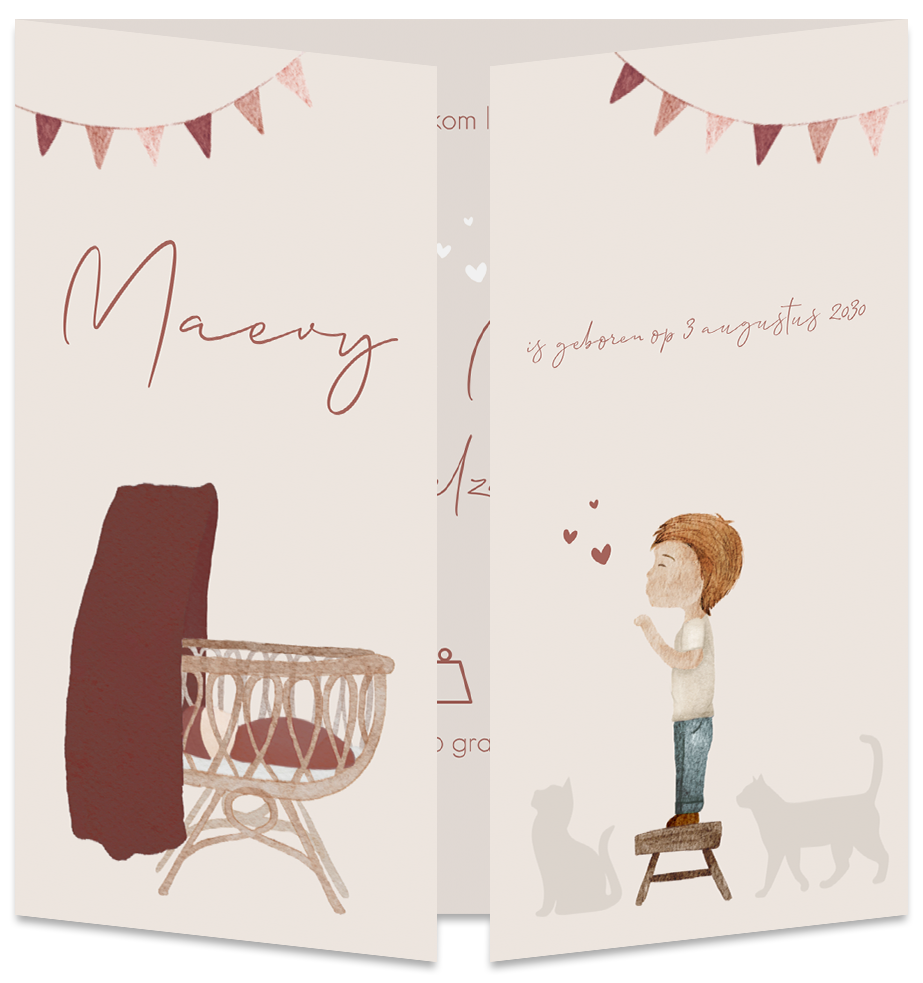 Geboortekaartje Meisje Zusje Wiegje