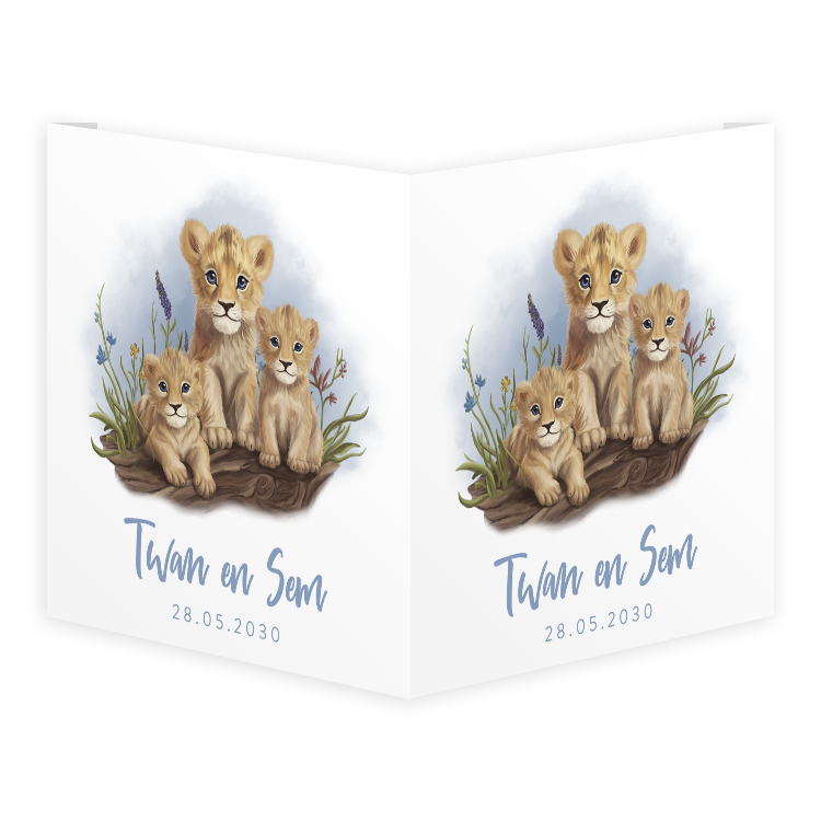 Raambord met jongens tweeling en grote broer of zus als leeuw