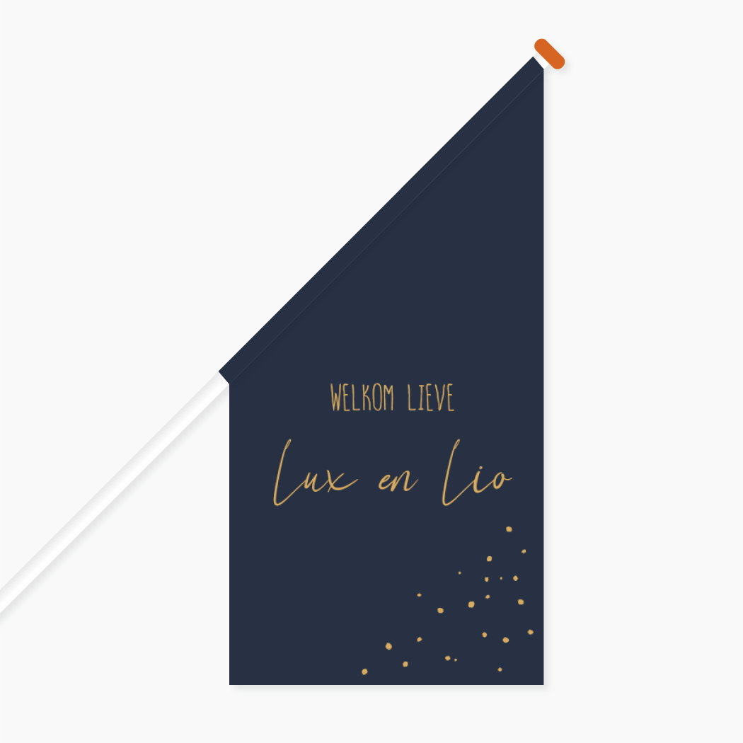 Vlag Tweeling Donkerblauw Stippen Welkom