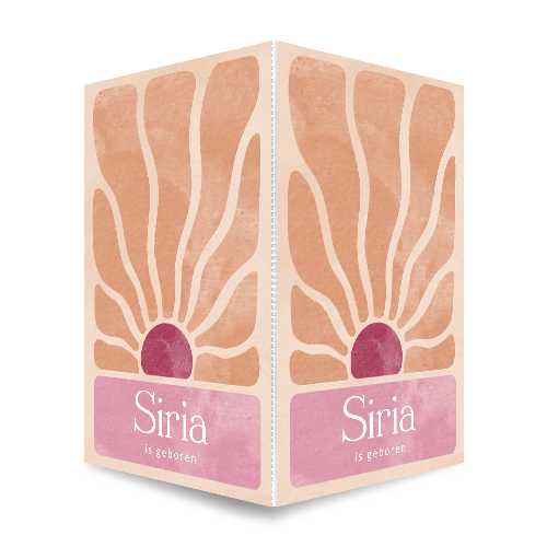 Geboorte raambord met vintage zon en zonnestralen