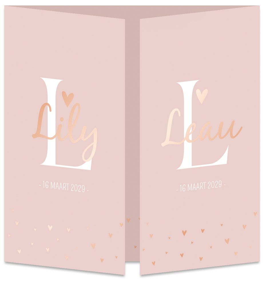 Geboortekaartje Tweeling Meisjes Luikkaartje Roze