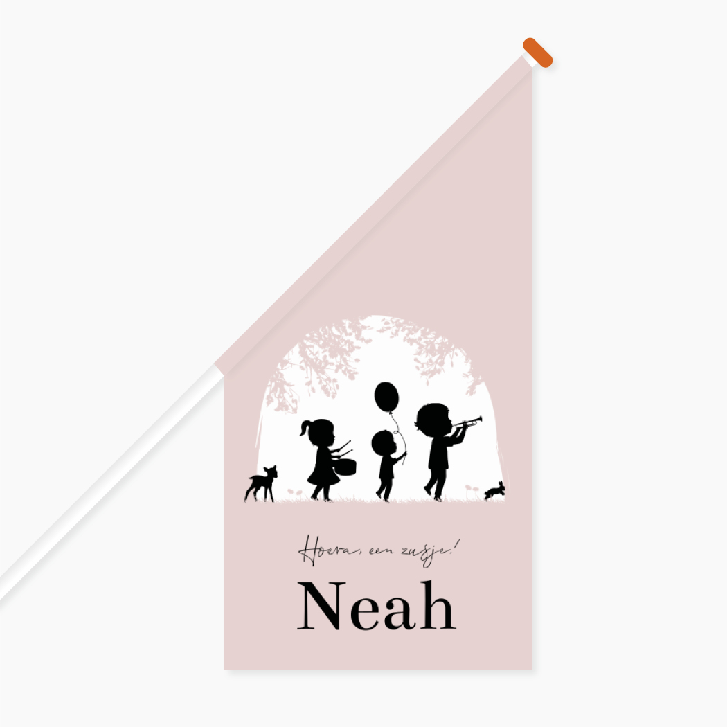 Vlag Muziek Fanfare Optocht Kindjes