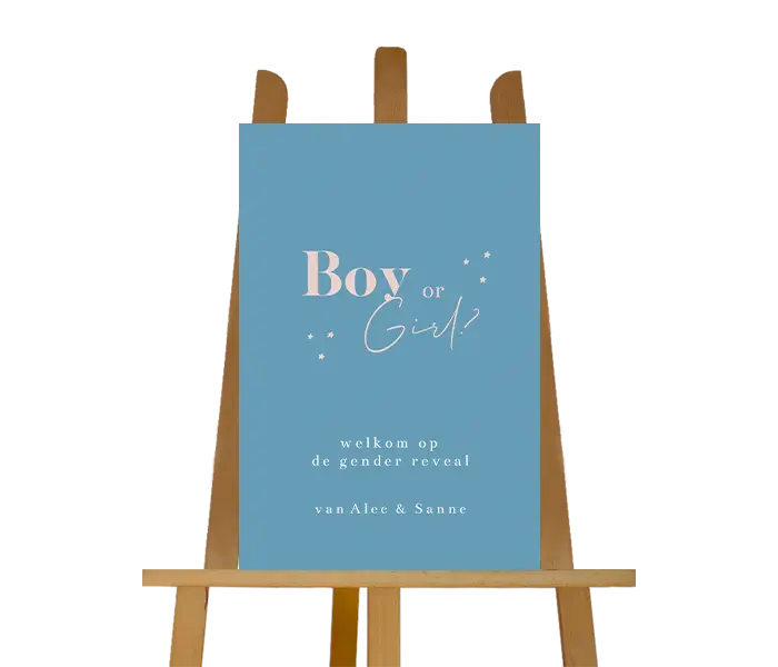 Gender reveal welkomstbord blauw met roze letters en sterretjes