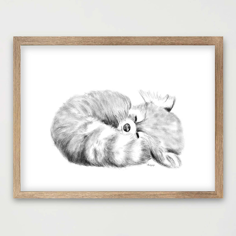 Dieren poster grijze potloodtekening rood pandabeertje