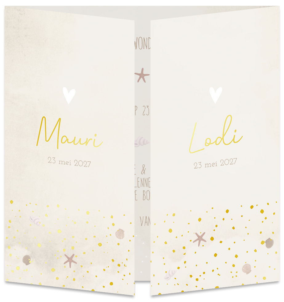 Geboortekaartje Tweeling Luikkaartje Zee Stippen