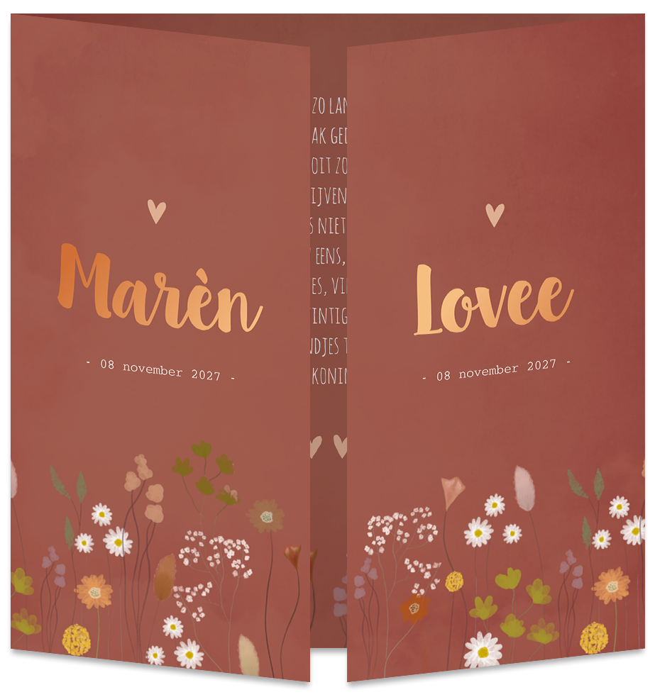 Geboortekaartje Tweeling Droogbloemen Roest