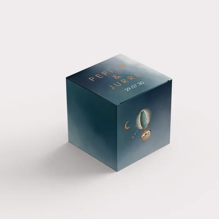 Doopsuikerdoosje met tweeling vosjes in luchtballon