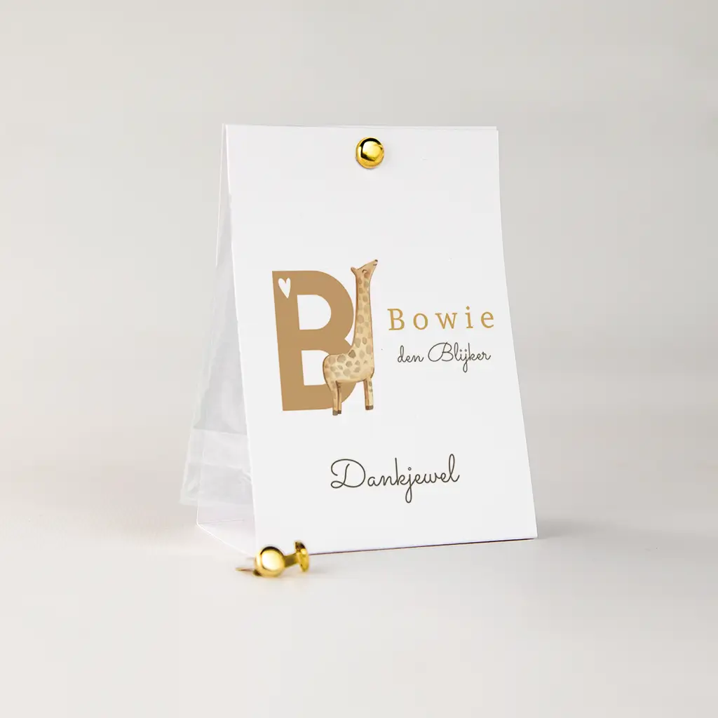 Vrolijk doopsuiker snoepzakje met giraf en initiaal