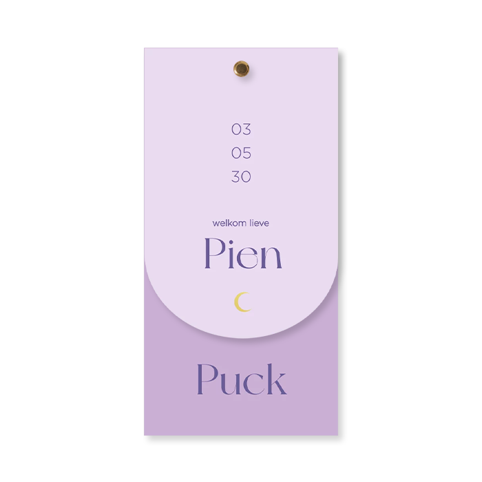 Langwerpig geboortekaartje met booglabel tweeling lila